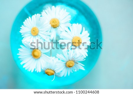 Summer flowers in a vase on a blue background. Interior decor. Glass bowl. Flat lay, top view.
