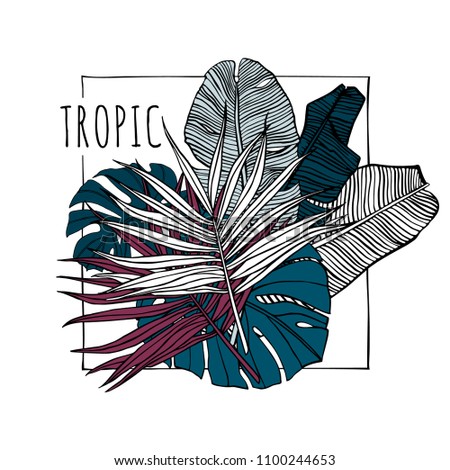 Hand drawn illustration with foliage of tropical plants. Banana leaves, palm and monstera leaf. Summer vector print.