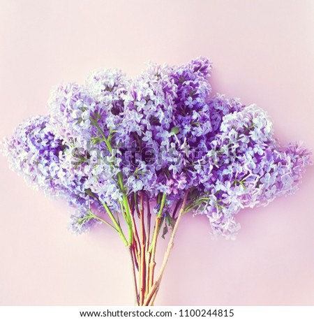 Bouquet of flowers lilac on a soft pink background