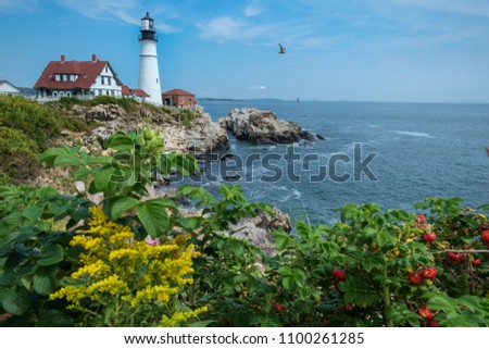 Maine lighthouse with wild flowers in the foreground