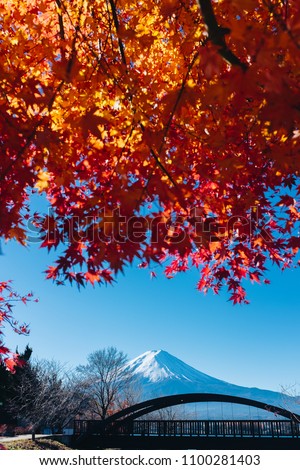 Mount Fuji is the highest mountain in Japan UNESCO world heritage in the picture Autumn season
