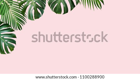 Tropical leaves monstera and yellow palm on pink background with copy space