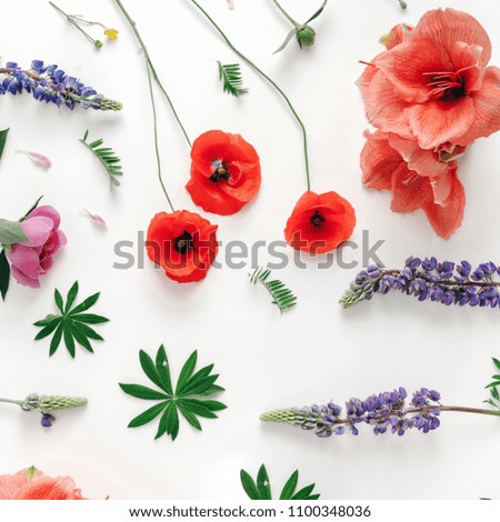 Floral pattern made of wildflowers, poppy, amaryllis, peonies on white background. Flat lay, top view. Pattern of flowers