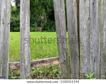 Broken fence, secret garden, backyard grass