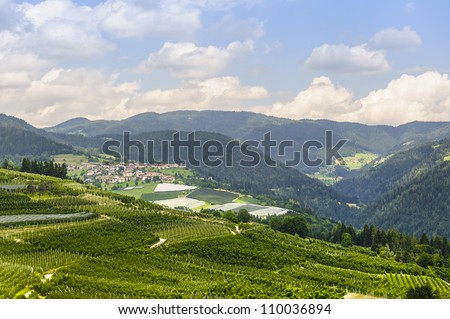 Panoramic view of the Val di Non (Trento, Trentino Alto Adige, Italy) at summer