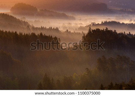  Misty morning with sunrise in a valley of Bohemian Switzerland park. Detail of forest, landscape of Czech Republic.