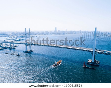 Aerial shooting of a bridge and a ship over the sea. Tokyo.