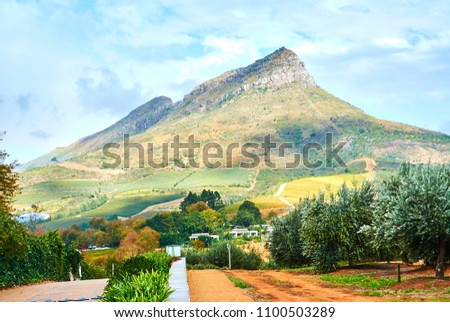 Stellenbosch is a town in the Western Cape province of South Africa, situated about 50 kilometres (31 miles) east of Cape Town, along the banks of the Eerste River at the foot of the Stellenbosch