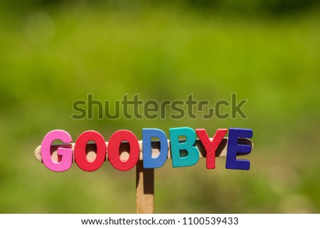 Multicolored word Goodbye from wooden alphabets on blurred green nature background