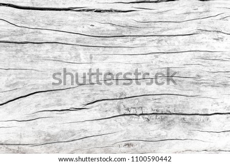 old white wood texture background