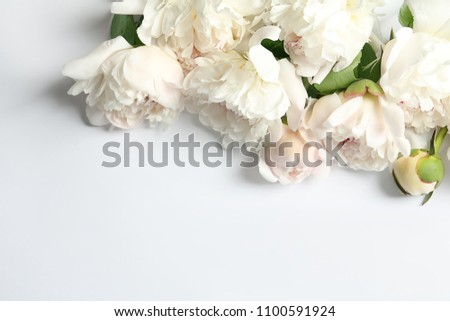 Beautiful blooming peony flowers on white background, top view