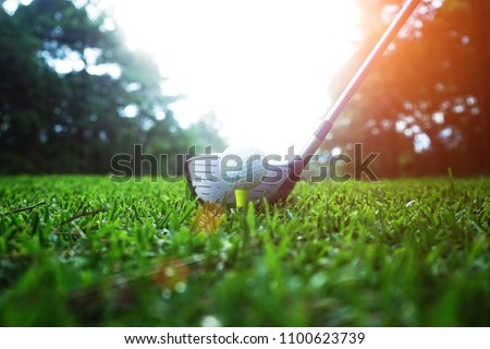 golf club and golf ball close up in grass field with sunset. Golf ball close up in golf coures at Thailand Royalty-Free Stock Photo #1100623739