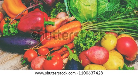 Different bio vegetables. Selective focus.
