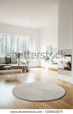 Round rug in spacious apartment interior with fireplace and grey sofa against the window