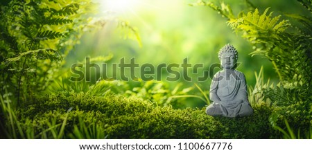 Buddha statu in natural background Royalty-Free Stock Photo #1100667776