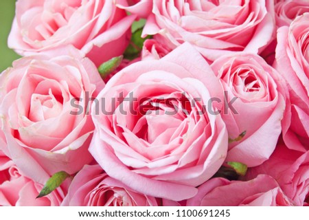 beautiful roses bunch closeup