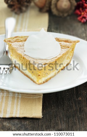A slice of cream cheese pumpkin pie with whipped cream. Extreme shallow depth of field.