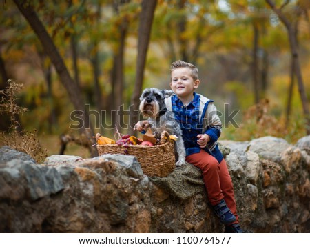 Cute little boy with a dog in the fall