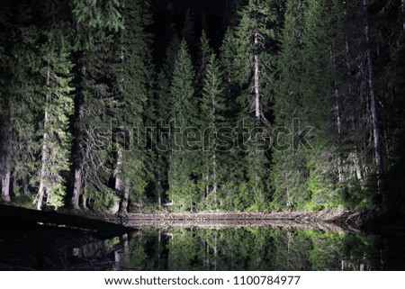 Beautiful view of landscape with lake and pine trees in the night in summer time