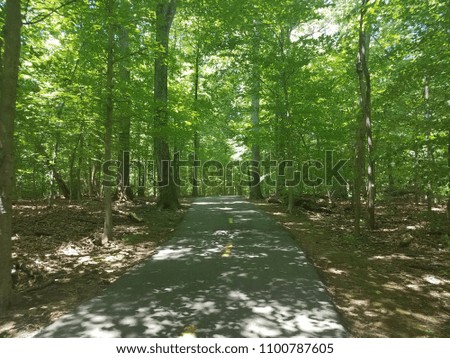 asphalt bike trail in the woods with green trees