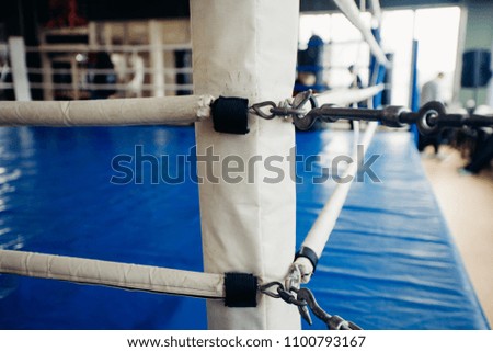 Boxing ring blue with white ropes, light background