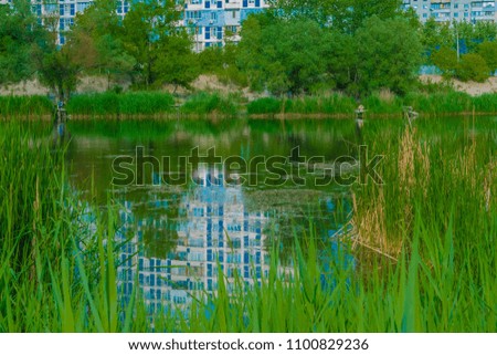 house reflection in water, background