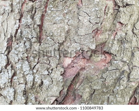 the image of the wood texture