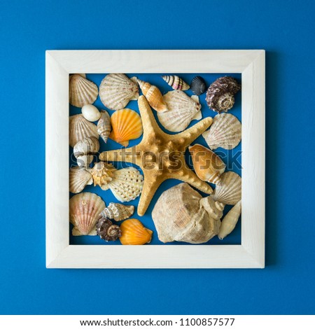 Minimalism. Masterpiece in wooden frame. Sea shells. Top view. Flat lay. Sun protection concept.
