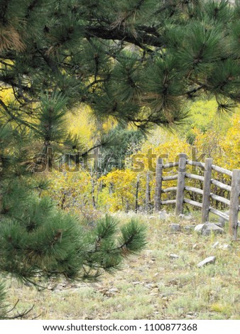 Old Fence in Fall