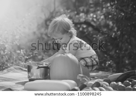 Small boy at picnic sitting playing with big pot standing among orange pumpkin red tomato squash and cucumber on blue checkered plaid on natural background sunny day, horizontal picture