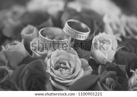 Closeup of one beautiful pink and red fresh rose flower bunch with two wedding golden rings, horizontal picture