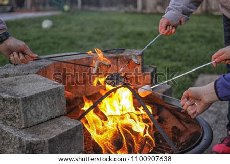 Toasting marshmallows over the fire