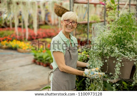 Portrait of senior woman working in greengarden