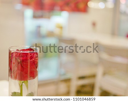 Selective focus of fresh red rose in a glass tube with a blurry creamy white dinning table background - romatic special meal / dinner / eating out concept