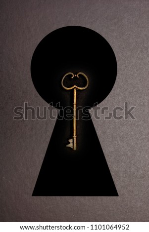 A studio photo of a skeleton key