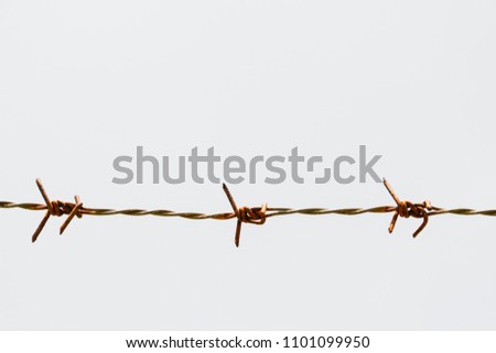 Rusty barbed wire fence on white background. Selective focus.