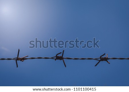 Barbed wire fence with blue sky in the background. Selective focus.