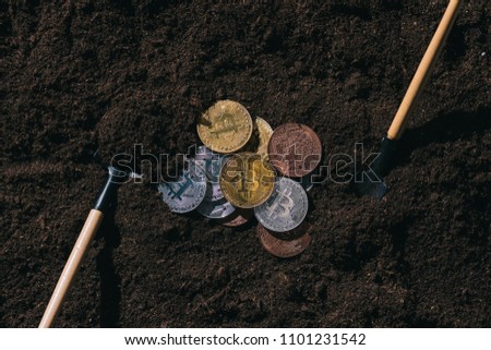 top view of arranged gardening tools and various bitcoins on ground