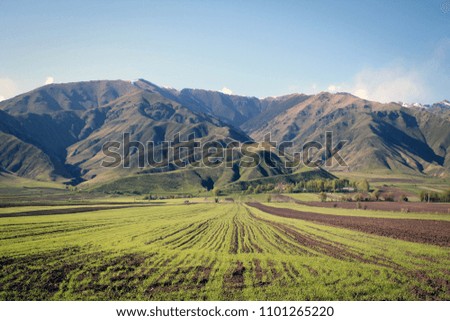 Scenic green landscape of valley near Issyk-Kul Lake, Kyrgyzstan