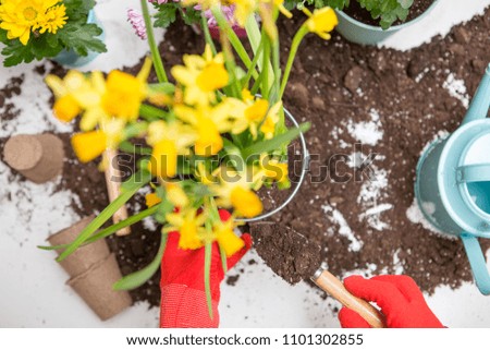 Photo of soil, watering can, flowerpot, shovel, rake, hands in red rubber gloves