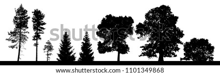 Vector silhouettes set of coniferous and deciduous trees ans bushes.