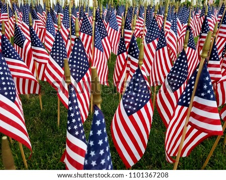 A "Sea" of American Flags Against a Green Lawn, American Holidays and Spirit; Military, Holidays, Independence, Memorial, Veteran, Vietnam and Patriotism, Emotional Ideas, Presidential Elections  Royalty-Free Stock Photo #1101367208