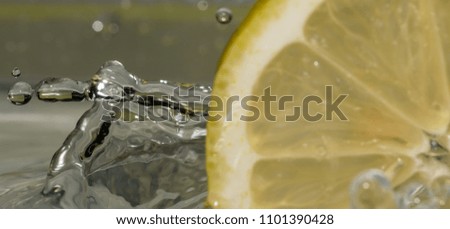 Isolated macro of lemon slice in water background