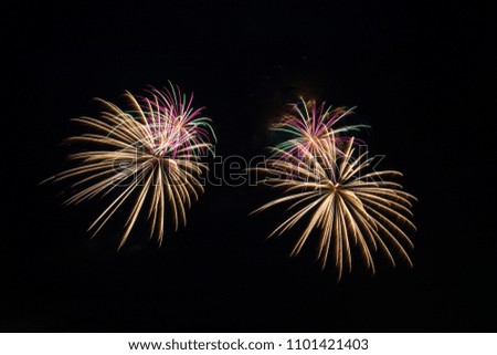 Fireworks - Pair a 3" Dahlias