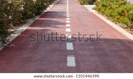 Bike lane. Red asphalt path with white lines for bicycles