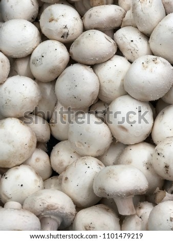 champignon mushrooms for food textures top view
