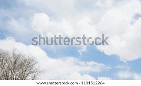 Tree branches and clear sky with some cloud