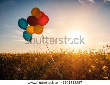 colored balloons over rape firld on sunrise
