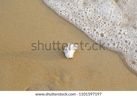 Soft wave of blue ocean on sandy beach. Background