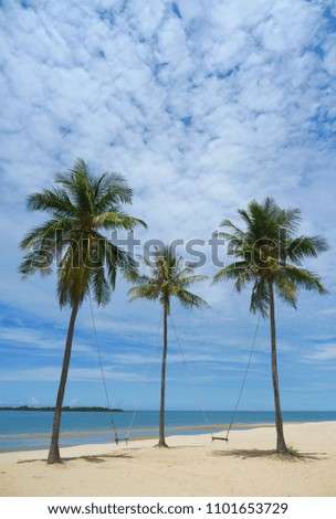 Beautiful beach. Coconut trees on the beach. Holiday and vacation concept